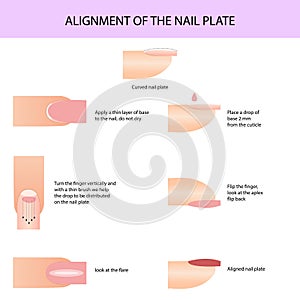 Allineamento da un chiodo piatto. professionalmente guida vettore illustrazioni infografica 