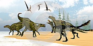 Alioramus attacks Shantungosaurus