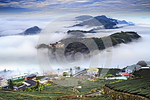 Alishan,Chiayi County,Taiwan:Sunset clouds