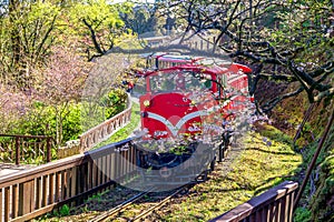 Alishan forest recreation area