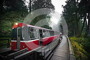 Alishan forest train railway
