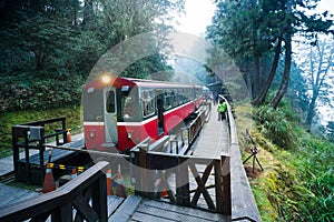 Alishan forest train railway