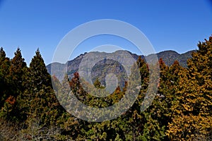 Alishan National Forest Recreation Area, situated in Alishan Township, Chiayi ,