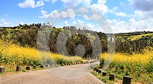 Aliso Viejo Wilderness Park view