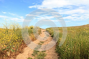 Aliso and Wood Canyons Wilderness Park hiking paths in Laguna Be