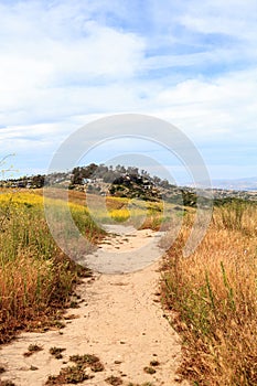 Aliso and Wood Canyons Wilderness Park hiking paths in Laguna Be