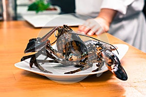 Alive raw uncooked lobster ready to cook on a white plate. Fresh seafood ingredient on a wooden table