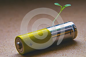 Alkaline AA battery close up with a green bore sprouted seed