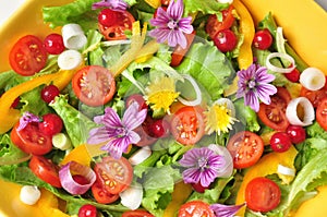 Alkaline, colorful salad with flowers, fruit and vegetables