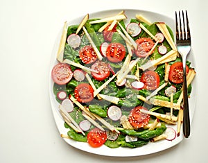 Alkaline, healthy food : spinach, apple and tomato