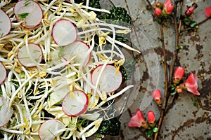 Alkaline, healthy food : soybeans sprout with radish and kale salad