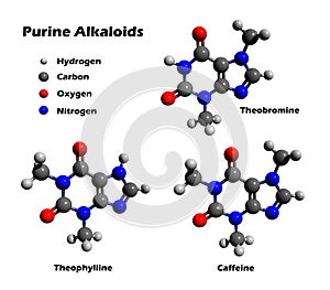 Alkaloids - caffeine, theobromine, theophylline