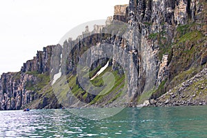 Alkefjellet, one of the largest and most spectacular bird cliffs on Svalbard.