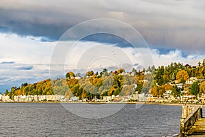 Alki Condos And Skyline 9