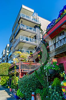 Alki Hanging Flowers 5