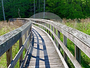 All Along the Appalachian Trail