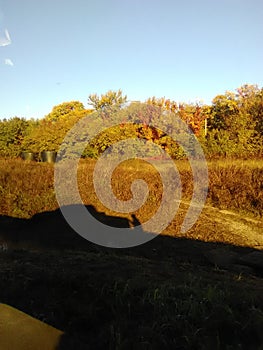 All the colors of fall season