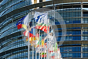 All Eu Flags Eurozone waving against European parliament building