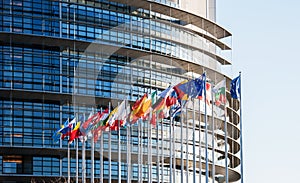 All European Union flags in front of parliament eu