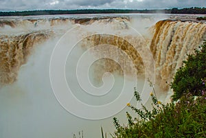 All flows that converge into Devil`s Throat at Iguazu Falls. Argentina