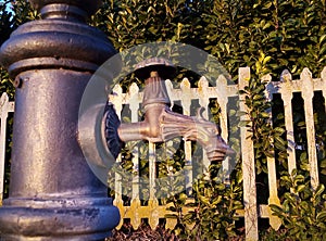 Fountain with Dragon