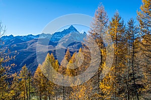 All the gold of Monviso. Ostana one of the most beautiful villages in Italy