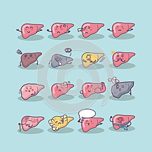 All kinds of liver