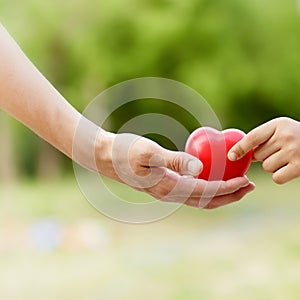 All the love given to child