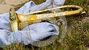 All one needs for the evening a sweatshirt and their Flugelhorn