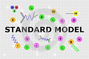 All particles of standard model with proton, neutron and two Feynman diagrams
