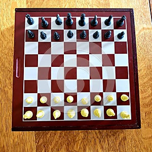 All pieces of chess war game