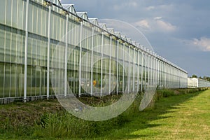 All season fresh vegetables, fruits and flowers, agriculture in Netherlands, big modern greeenhouses in Limburg, exterior view