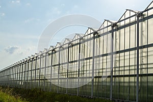 All season fresh vegetables, fruits and flowers, agriculture in Netherlands, big modern greeenhouses in Limburg, exterior view
