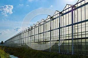 All season fresh vegetables, fruits and flowers, agriculture in Netherlands, big modern greeenhouses in Limburg, exterior view