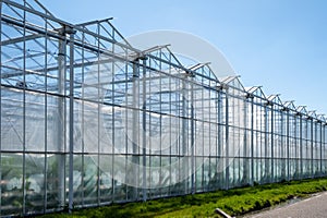 All seasons fresh vegetables, fruits and flowers, agriculture in Netherlands, big modern greeenhouses in Limburg, exterior view