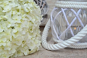 All souls day` remembrance concept, white hydrangea with lantern