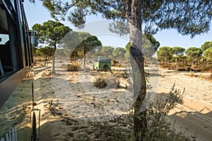 An all-terrain truck drives on the sand of an arid environment with a few pine trees on a sunny day. Photo taken from