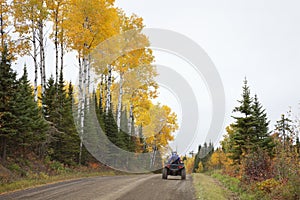 All terrain vehicle rolls down a dirt road in northern Minnesota alongside birches in fall color