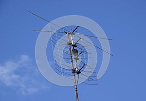 All-wave inphase antenna lattice. The television antenna for reception of radio TV of a signal
