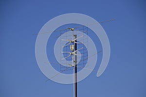 All-wave inphase antenna lattice. The television antenna for reception of radio TV of a signal