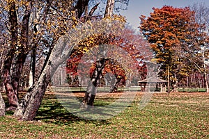 Allaire Park in Howell New Jersey if the fall photo