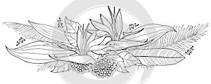 Vector bouquet of outline tropical Strelitzia reginae or bird of paradise flower bunch and palm leaf in black isolated on white.