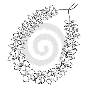 Vector outline Hawaiian lei necklace from tropical Allamanda flower and petal in black isolated on white background. photo