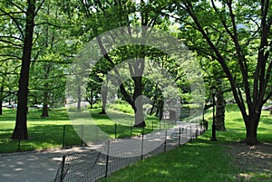 Allee dans Central Park, New York, USA