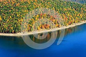 Allegheny National Forest