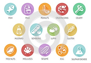Allergen Food Major Allergy Icons