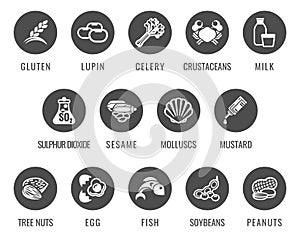 Allergen Food Major Allergy Icons photo