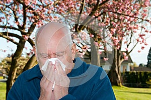 Allergies