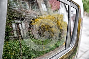 Allergy season. Yellow pollen on window of car