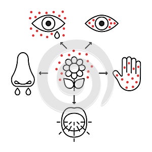 Allergy symptoms line icons, irritation organs senses. Inflammation of eyes, lacrimation, sneeze, blisters on skin photo